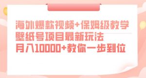 海外爆款视频+保姆级教学,壁纸号项目最新玩法,月入10000+教你一步到位【揭秘】-第一资源库