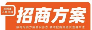 王昕招商方案,解构招商方案意识形态,精准把握渠道代理基本法-第一资源库