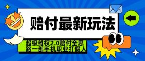 超级维权2.0全新玩法,2024赔付全思路职业打假一部手机搞定【仅揭秘】-第一资源库