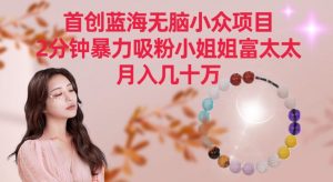 首创蓝海无脑小众项目，2分钟暴力吸粉小姐姐富太太，月入几十万【揭秘】-第一资源库