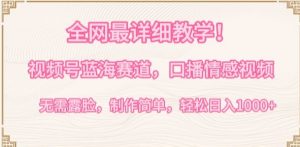 全网最详细教学,视频号蓝海赛道,口播情感视频,无需露脸,制作简单,轻松实现日入1000+【揭秘】-第一资源库