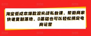 淘宝低成本爆款流实战私教课，帮助商家快速复制落地，0基础也可以轻松搞定电商运营-第一资源库