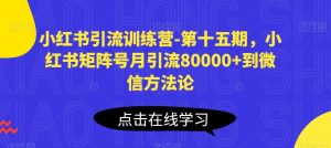 小红书引流训练营-第十五期，小红书矩阵号月引流80000+到微信方法论-第一资源库