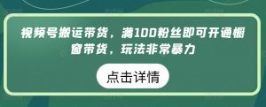 视频号搬运带货,满100粉丝即可开通橱窗带货,玩法非常暴力【揭秘】-第一资源库