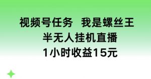 视频号任务,我是螺丝王, 半无人挂机1小时收益15元【揭秘】-第一资源库