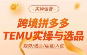 跨境拼多多TEMU实操与选品，多多temu跨境选品运营实操-第一资源库