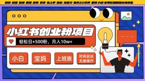 小红书创业粉项目日+500粉，每天20分钟躺赚长尾收益，无脑操作，宝妈，小白抓紧冲【揭秘】-第一资源库