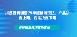 拼多多特训营24年爆破流玩法，产品决定上限，方法决定下限，各种玩法技巧落地实操-第一资源库