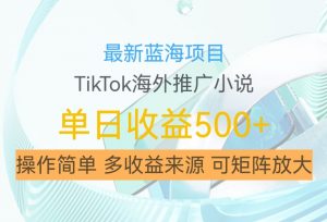 最新蓝海项目,利用tiktok海外推广小说赚钱佣金,简单易学,日入500+,可矩阵放大【揭秘】-第一资源库
