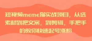 短视频meme猫实战项目,从选素材到把文案,到剪辑,手把手的教你快速起号涨粉-第一资源库