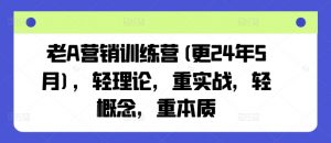 老A营销训练营(更24年12月),轻理论,重实战,轻概念,重本质-第一资源库