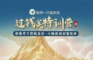 剽悍一只猫-过钱关特训营,学习营销真经 大幅度提高创富效率-第一资源库