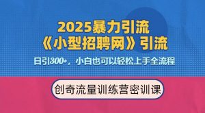 2025最新暴力引流方法,招聘平台一天引流300+,日变现多张,专业人士力荐-第一资源库
