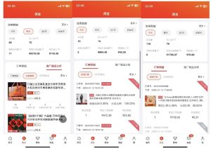 2025最新京东蓝海项目,0 门槛日入 1k+,小白宝妈轻松上手【揭秘】-第一资源库