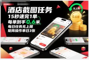 酒店截图任务,15秒速完1单,每单到手0.6米,每日任务无上限,全网首发玩法,矩阵操作单日3张【揭秘】-第一资源库