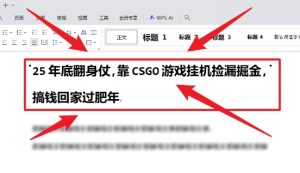 25年底翻身仗,靠CSGO游戏挂G捡漏掘金,搞钱回家过肥年【揭秘】-第一资源库
