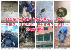 抖音某大V万物科普解说课程,可进抖音精选,独家内容,超干货教学,助你涨粉又賺钱-第一资源库