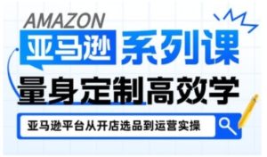 亚马逊新手开店从入门到精通,全面覆盖亚马逊开店各阶段要点,助新手从入门到精通-第一资源库