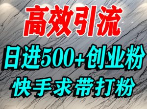 怎么打创业粉?快手求带视角精准引流创业粉,宝妈、学生群体日进500+精准流量-第一资源库