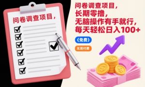问卷调查项目,长期零撸,无脑操作有手就行,每天轻松日入100+【揭秘】-第一资源库