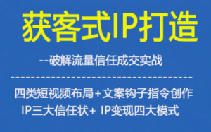 获客型IP打造,破解流量信任成,四类短视频布局+文案钩子指令创作IP三大信任状+IP变现四大模式-第一资源库