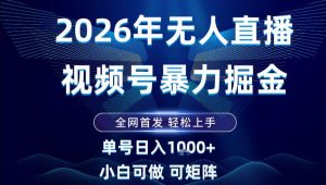 2026最新视频号无人直播掘金，全网首发，小白可以玩，长期稳定日入1k+【揭秘】-第一资源库