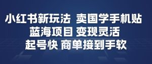 小红书新玩法，卖国学手机贴，蓝海项目，变现灵活，起号快，商单接到手软-第一资源库