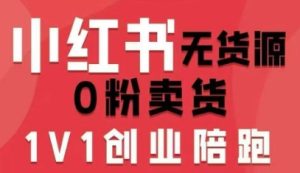 小红书无货源0粉电商课，开店准备、选品策略、笔记撰写、视频剪辑、数据分析、账号打造、资料文档（更新）-第一资源库