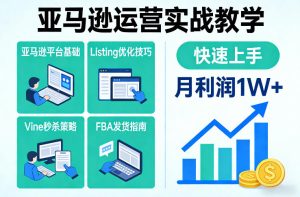 亚马逊运营实战教学,亚马逊平台+Listing优化+Vine秒杀+FBA发货等,快速上手,实现店铺月利润1W-第一资源库