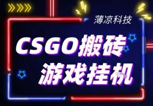 CSGO游戏挂G游戏搬砖最新升级，普通小白一部手机可日入3张+当天见结果，支持验证【揭秘】-第一资源库