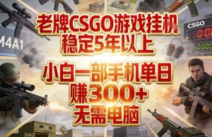 老牌CSGO游戏挂G，稳定5年以上，小白一部手机单日賺3张+，无需电脑【揭秘】-第一资源库
