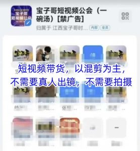 宝子哥头部团队短视频带货,以混剪为主,不需要真人出镜,不需要拍摄【更新26年3月】-菠萝头