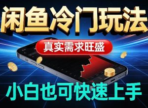 闲鱼冷门玩法,真实需求旺盛,日入100+轻松-菠萝头