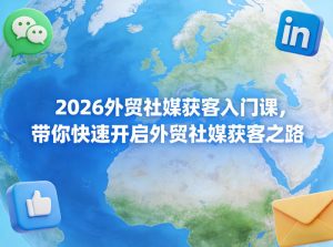 2026外贸社媒获客入门课，带你快速开启外贸社媒获客之路-菠萝头