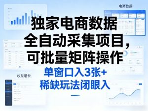 独家电商数据全自动采集项目，可批量矩阵操作，单窗口日入3张+，稀缺玩法闭眼入【揭秘】-菠萝头
