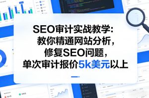 SEO审计实战教学：教你精通网站分析，修复SEO问题，单次审计报价5k美元以上-第一资源库