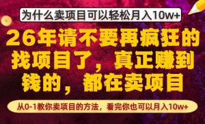 为什么真正賺到钱的都在卖项目,从0-1教你卖项目的方法,看完你也可以月入10w+【揭秘】-菠萝头