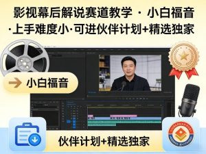 某大佬的影视幕后解说赛道教学,小白福音,上手难度小,可进伙伴计划+精选独家-菠萝头