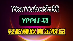 麦子甜带你玩转YouTube(YPP):月入过1W实操课-菠萝头