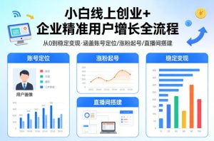 小白线上短视频创业+企业精准用户增长全流程,涵盖账号定位、涨粉起号,直播间搭建等,从0做到稳定变现-菠萝头
