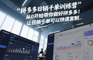 拼多多日销千单训练营，从0开始带你做好拼多多，让日销千单可以快速复制(更新26年3月)-菠萝头