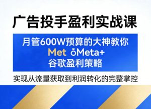 广告投手盈利实战课，月管600W预算的大神教你Meta+谷歌盈利策略，实现从流量获取到利润转化的完整掌控-菠萝头