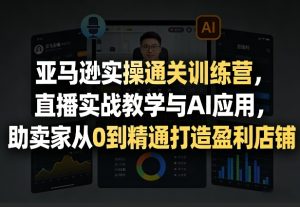 亚马逊实操通关训练营，直播实战教学与AI应用，助卖家从0到精通打造盈利店铺（更新4月29日）-菠萝头