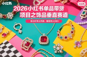 2026小红书单品带货项目之饰品垂直赛道，潮在小红书上开店，稳定月入5W+（更新0401）-菠萝头