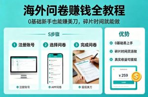 海外问卷賺钱全教程，0基础新手也能賺美刀，碎片时间就能做-菠萝头