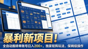 暴利新项目！全自动搬砖单账号日入200+，独家矩阵玩法，保姆级操作【揭秘】-菠萝头