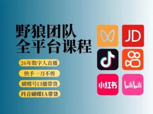 野狼团队2026新版全平台短视频带货教学，打开流量突破口，开始Ai带货（更新26年4月25日）-菠萝头