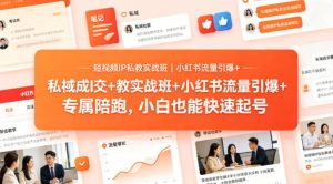 短视频IP私教实战班｜小红书流量引爆+私域成交+带徒盈利，专属陪跑，小白也能快速起号-菠萝头