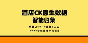 酒店CK原生数据智能归集，单窗口60+可矩阵0人工，2026必做蓝海小众项目【揭秘】-菠萝头