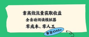 靠高效流量获取收益，零成本全自动阅读模拟器2.0全新玩法，单窗口高达50+蓝海小众项目【揭秘】-菠萝头